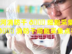香河消防干 🐈 细胞采集（香河 🐝 消防干细胞采集点在哪）